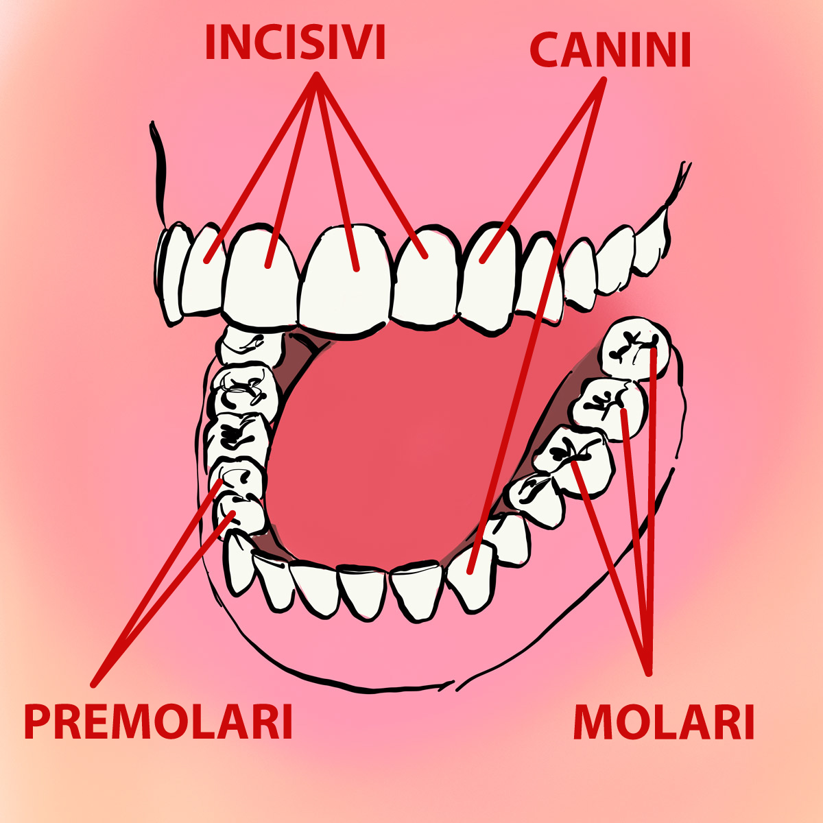 Impianti dentali in centro a Milano
